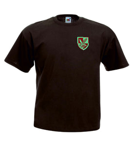 16 Air Assault Brigade T Shirts