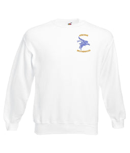 Airborne Brotherhood Sweatshirts